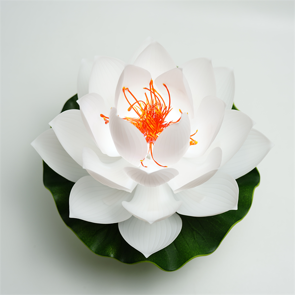 白莲花花蕊款(大)