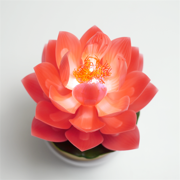 红莲花花蕊款(小)